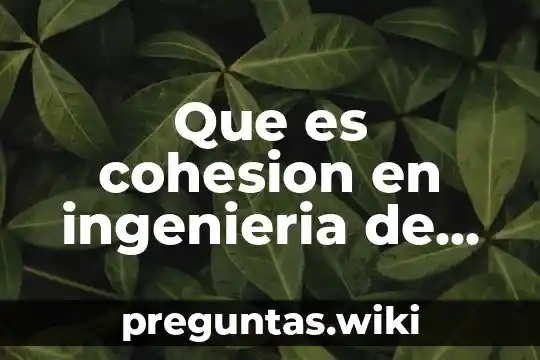 Que es cohesion en ingenieria de software