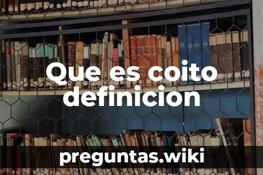 Que es coito definicion