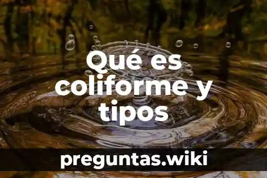 Qué es coliforme y tipos