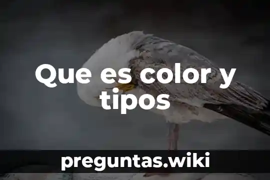 Que es color y tipos