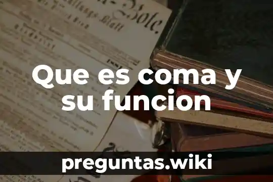 Que es coma y su funcion