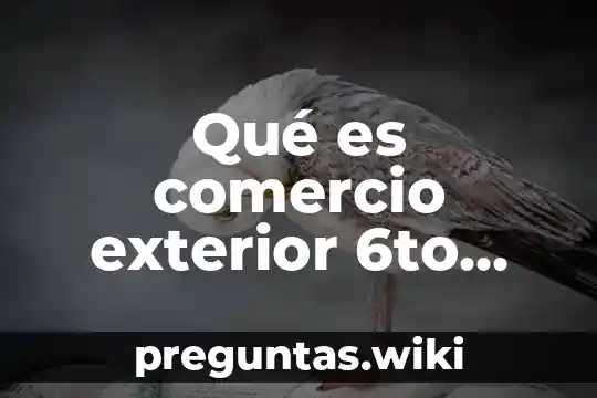 Qué es comercio exterior 6to grado