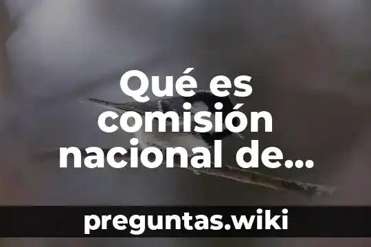 Qué es comisión nacional de valores