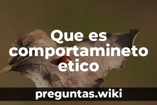 Que es comportamineto etico