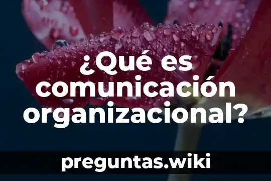 ¿Qué es comunicación organizacional?