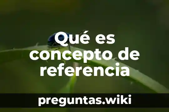 Qué es concepto de referencia