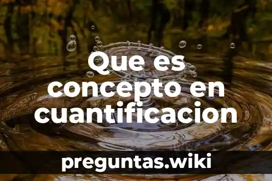 Que es concepto en cuantificacion