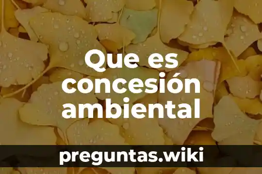 Que es concesión ambiental