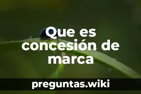Que es concesión de marca