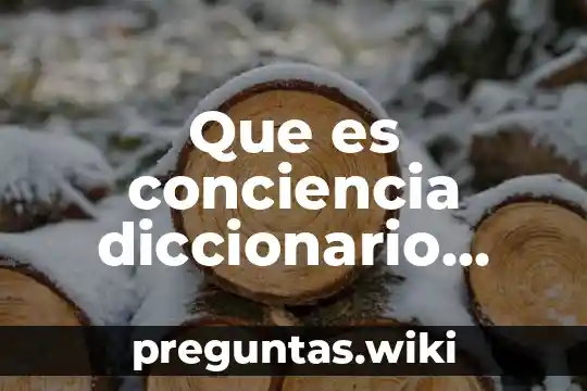 Que es conciencia diccionario filosofico nicola abbgano