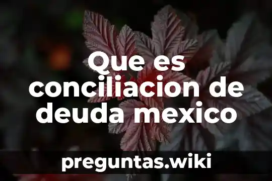 Que es conciliacion de deuda mexico