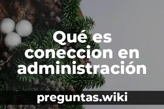 Qué es coneccion en administración