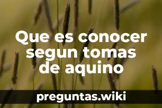 Que es conocer segun tomas de aquino