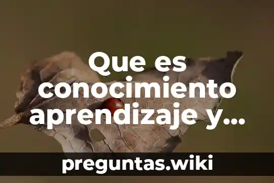 Que es conocimiento aprendizaje y contructivismo