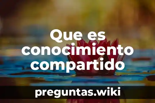 Que es conocimiento compartido