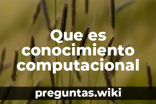 Que es conocimiento computacional