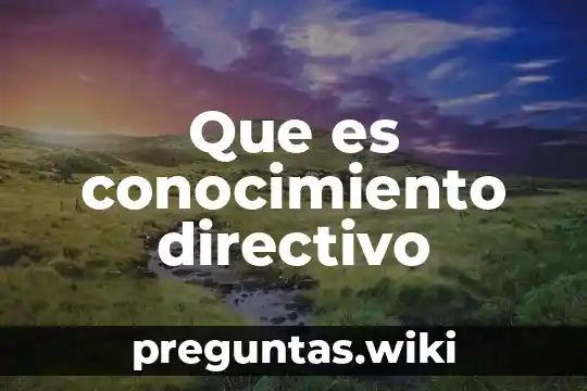 Que es conocimiento directivo