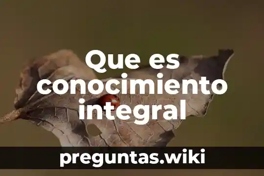 Que es conocimiento integral