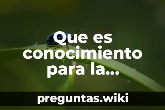 Que es conocimiento para la administracion