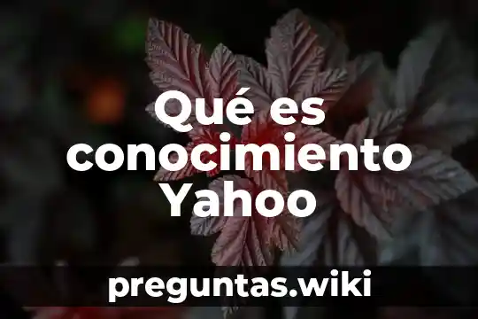Qué es conocimiento Yahoo