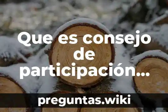 Que es consejo de participación ciudadana significado