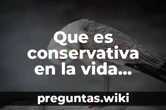Que es conservativa en la vida cotidiana