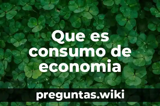 Que es consumo de economia