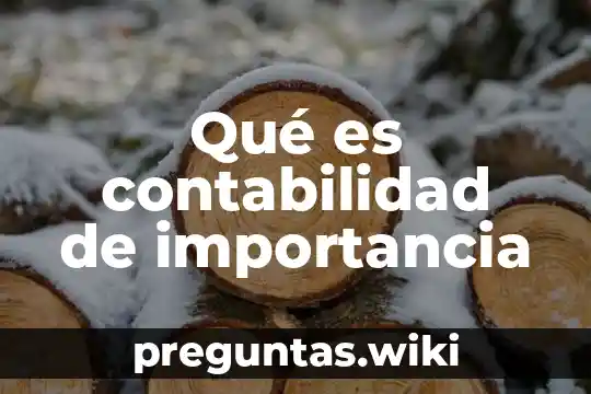 Qué es contabilidad de importancia