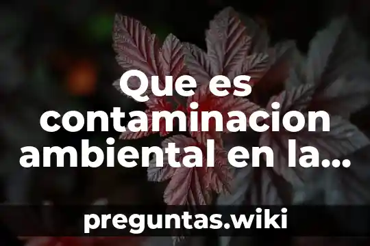 Que es contaminacion ambiental en la industria