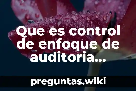 Que es control de enfoque de auditoria administrativa