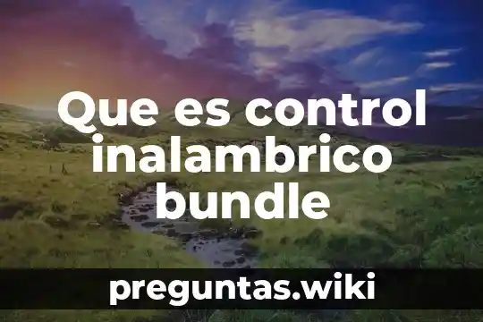 Que es control inalambrico bundle