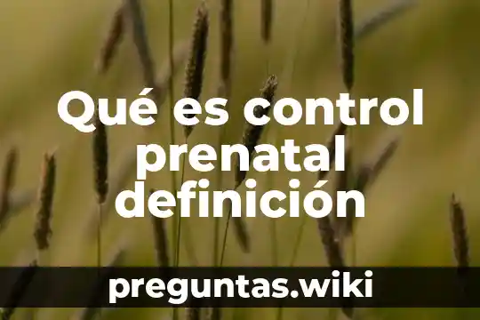 Qué es control prenatal definición