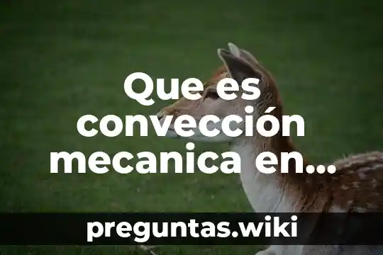 Que es convección mecanica en un equipo