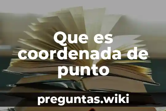 Que es coordenada de punto
