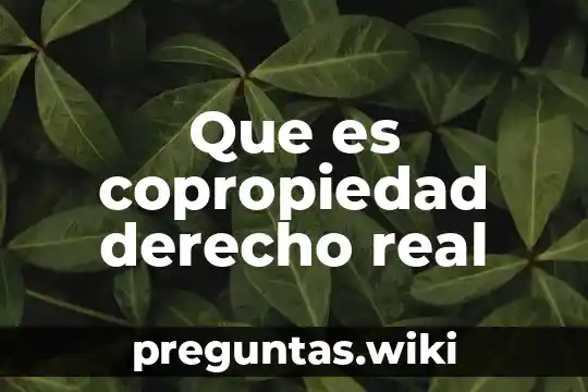 Que es copropiedad derecho real