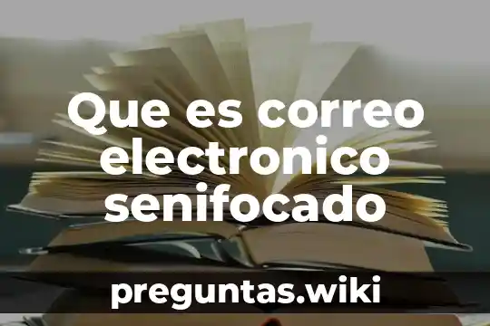 Que es correo electronico senifocado