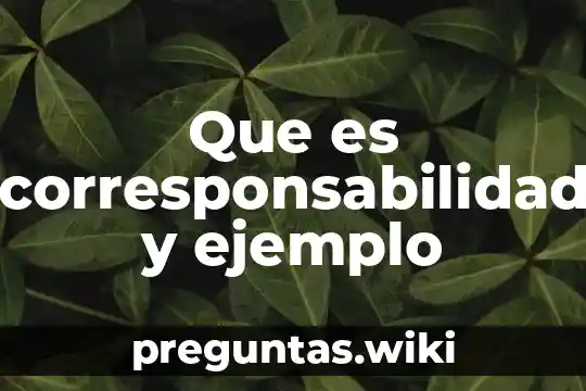 Que es corresponsabilidad y ejemplo