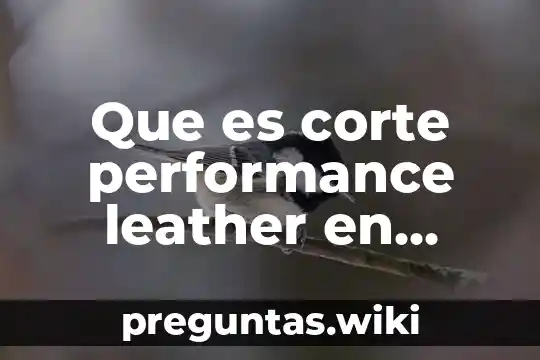 Que es corte performance leather en zapatos