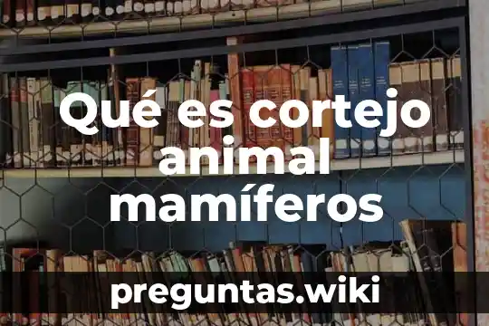 Qué es cortejo animal mamíferos