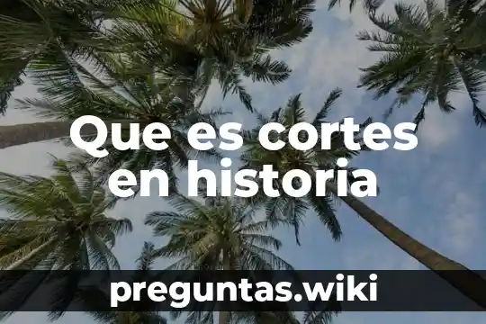 Que es cortes en historia