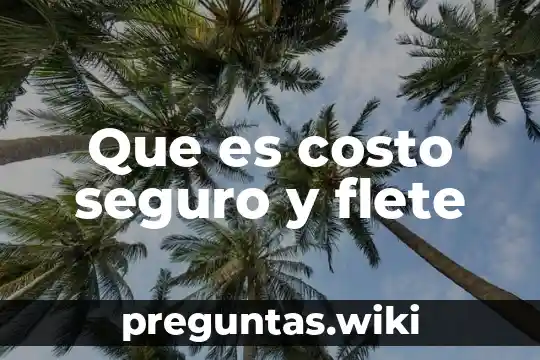 Que es costo seguro y flete