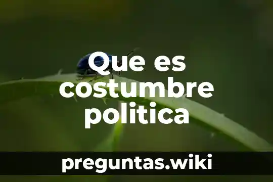 Que es costumbre politica