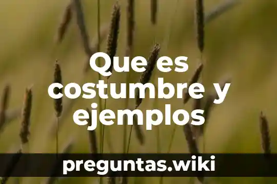 Que es costumbre y ejemplos