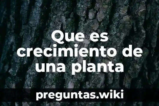 Que es crecimiento de una planta