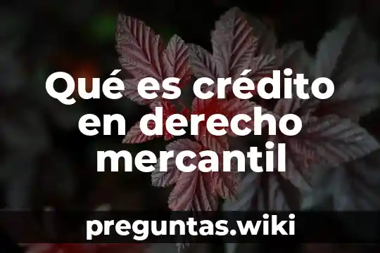 Qué es crédito en derecho mercantil