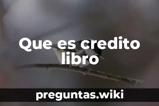 Que es credito libro