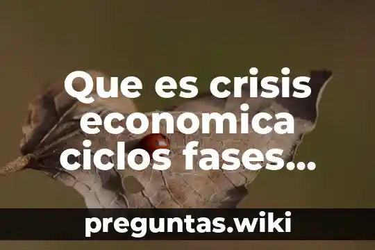 Que es crisis economica ciclos fases onda corta onda larga