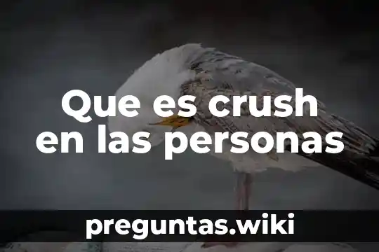 Que es crush en las personas