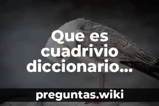 Que es cuadrivio diccionario filosofico