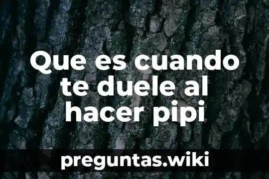 Que es cuando te duele al hacer pipi